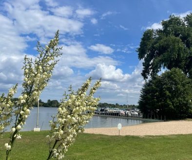 whatsapp image 2025 07 08 at 16.44.54 4