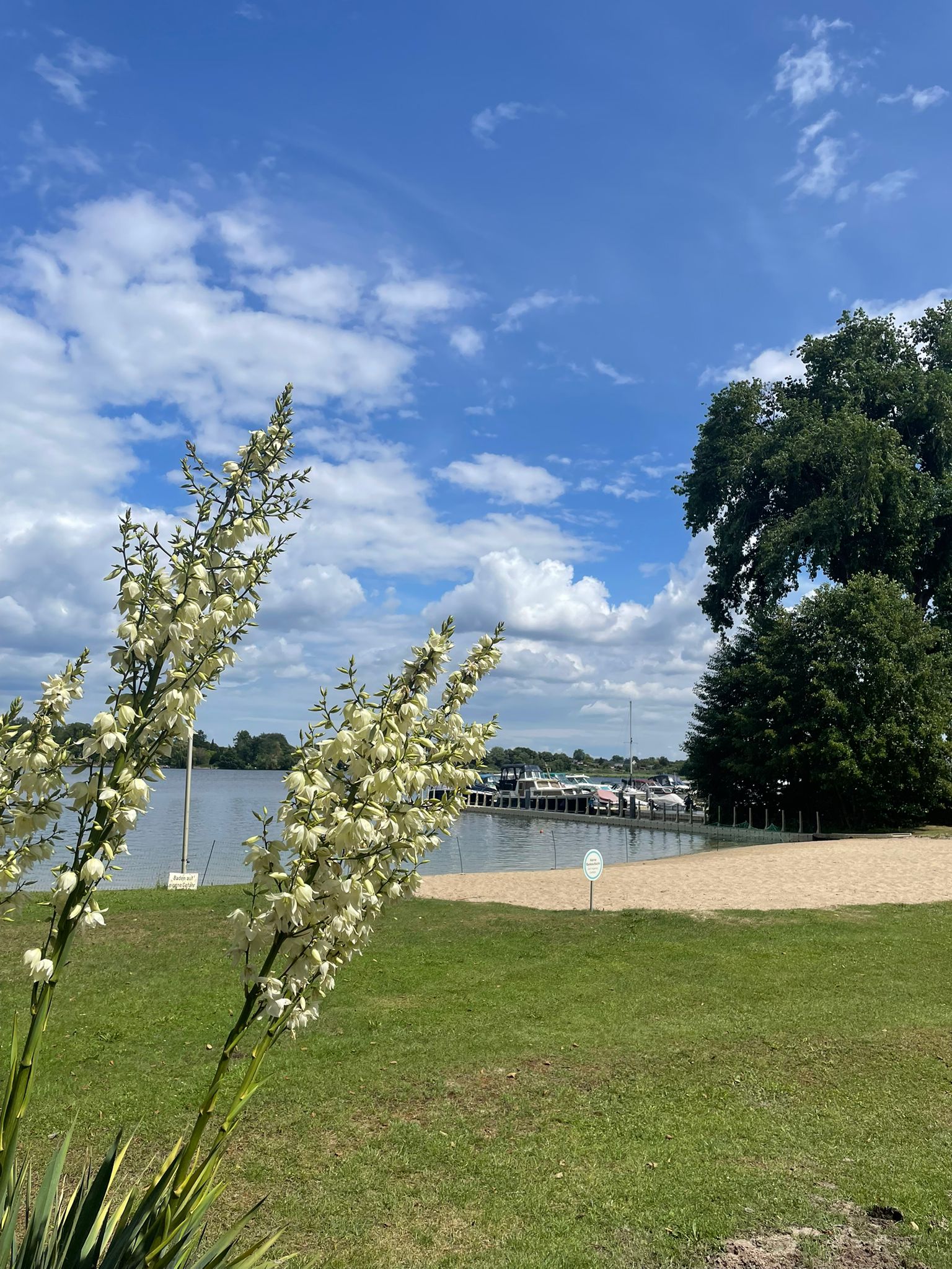 whatsapp image 2025 07 08 at 16.44.54 4